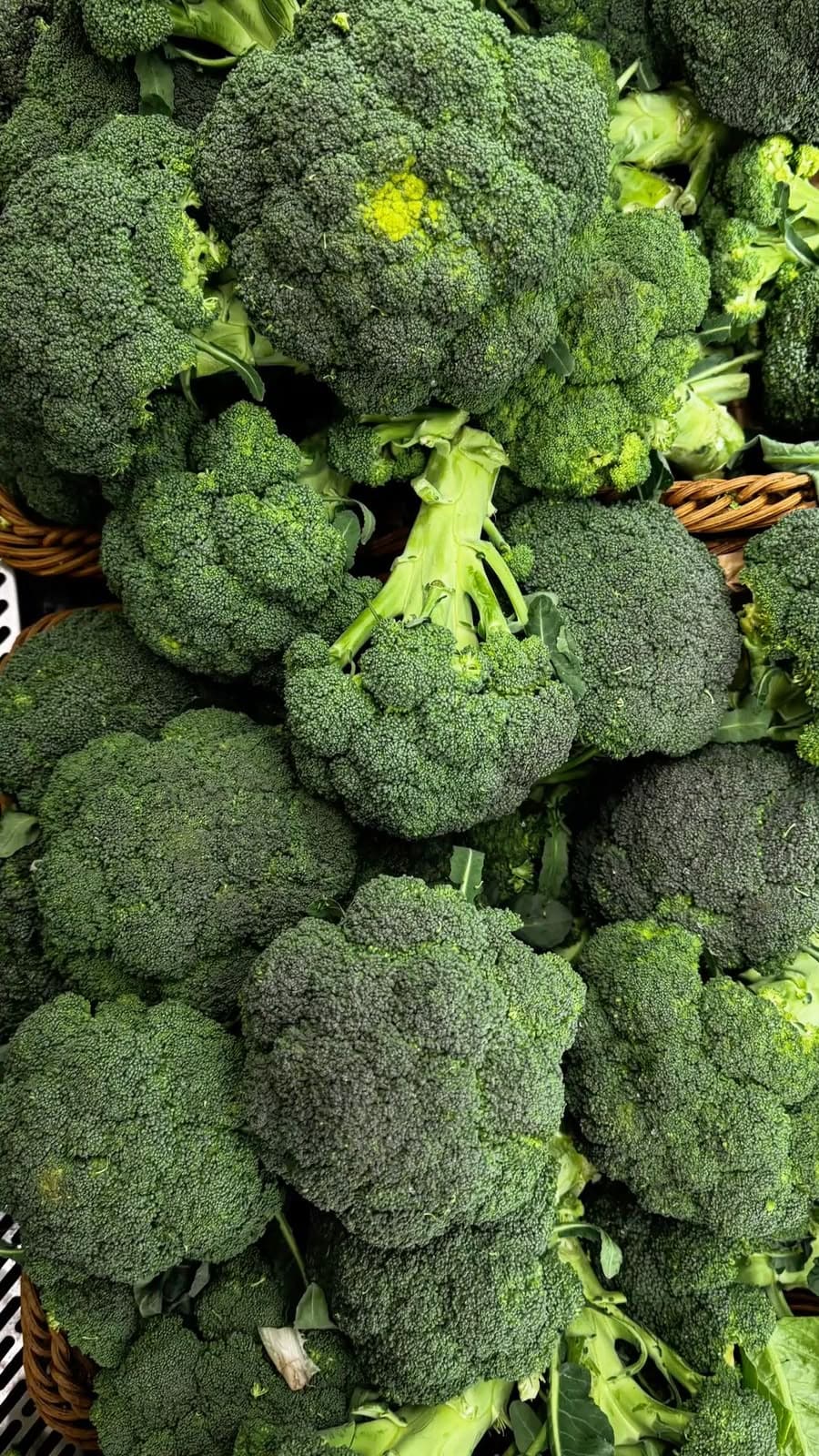 Brócoli