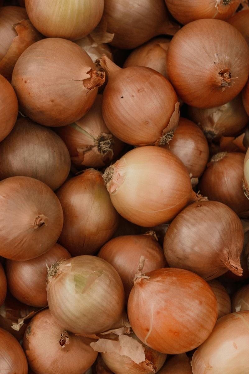 Cebolla Morada