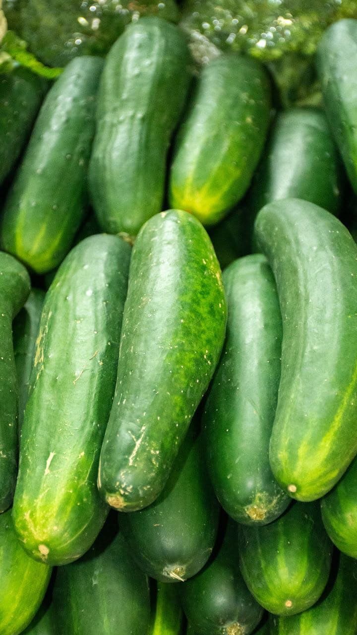 Pepino Ensalada