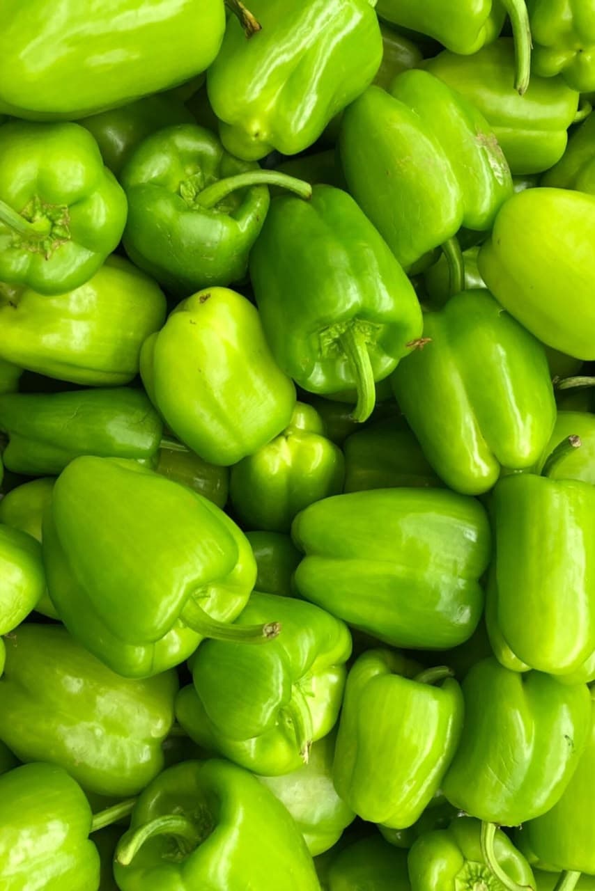 Pimentón Verde