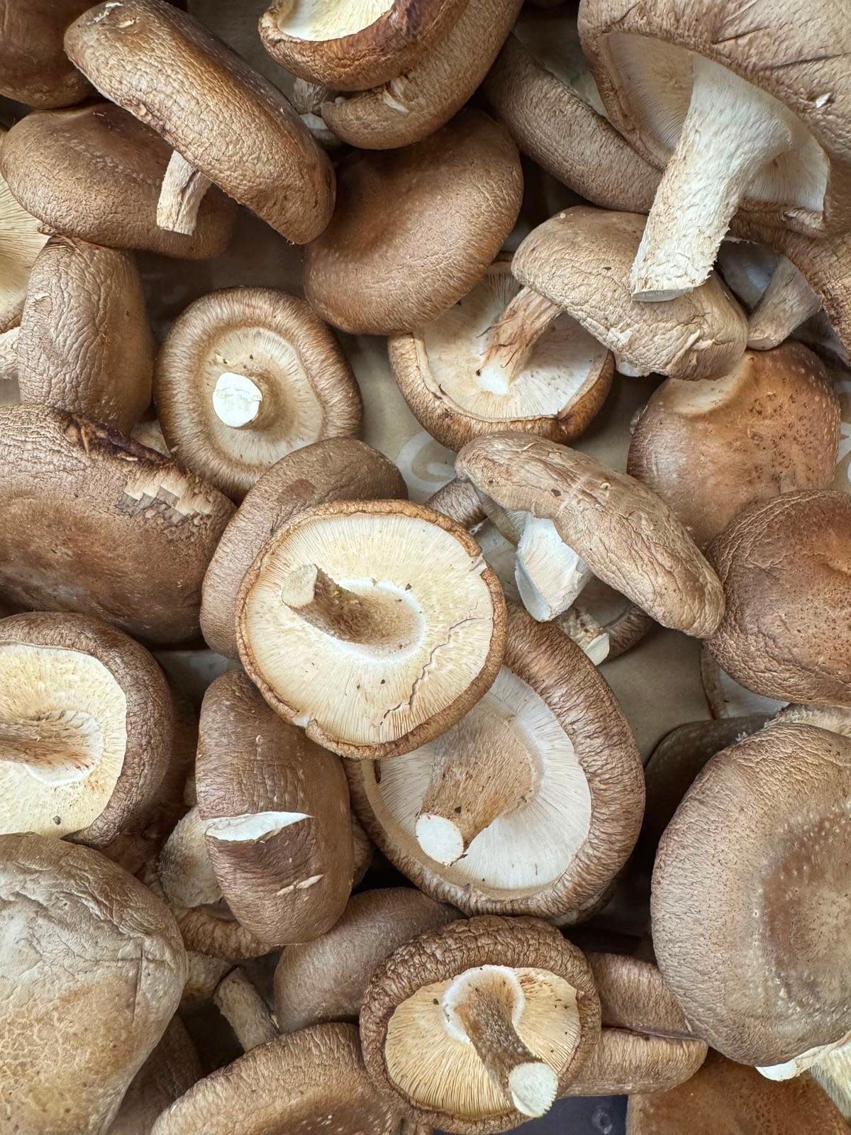 Shiitake Fresco